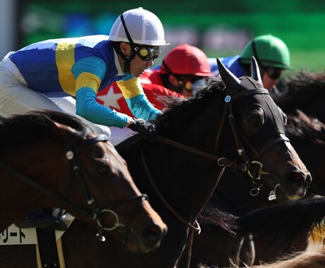 新潟競馬予想☆小頭数で的中目指します オッズ無視の人気に左右されない予想をしています☆ イメージ1