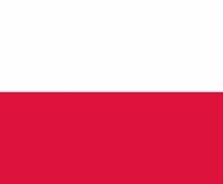 ポーランド語⇄日本語の通訳・翻訳致します ポーランド語⇄日本語の通訳・翻訳致します。 イメージ1