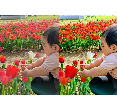 お気に入りの写真をさらに良くします お気に入りの１枚を美しく仕上げます。 イメージ1
