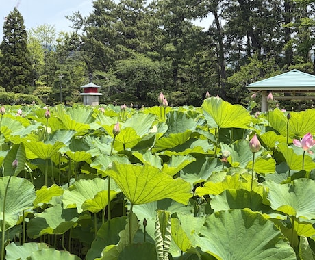介護職の心も、大切！どんな話も承ります 安心して話せる場所。経験者だからこそ、あなたに寄り添います。 イメージ2