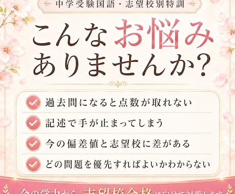 志望校別に中学受験国語の過去問を対策します 偏差値20〜40台から第一志望合格を目指します イメージ2