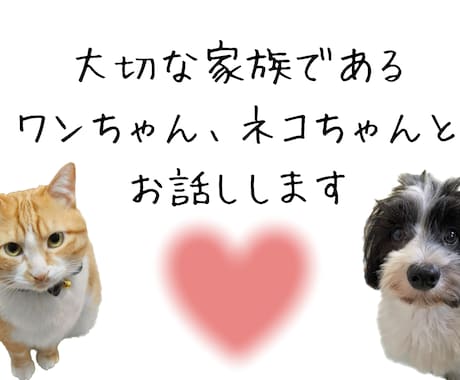 ワンちゃんネコちゃんとお話しします 大切な家族であるワンちゃんネコちゃんとお話しします イメージ1