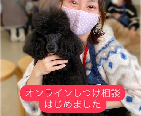 オンラインしつけ相談をします ペットとより良い暮らしに！しつけ教室の前にご相談ください！ イメージ1
