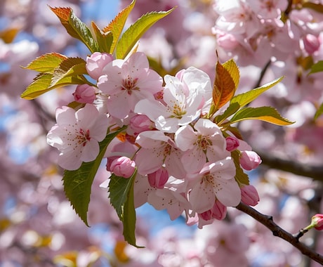 甘やかし彼女♡癒しのメッセージお届けします あなたの心を包み込む甘い癒しを届けます♡ イメージ2