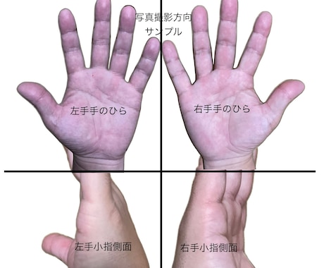 とにかく細かい所迄知りたい方へ、手相鑑定致します 左右の手のひら画像2枚付き、仕事恋愛金結婚健康占います。 イメージ2