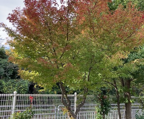 複雑恋愛限定♡お相手のお気持ち視ます 年の差・既婚×独身・立場の違い・推し×ファンなど複雑恋愛限定 イメージ1