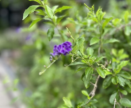 愚痴、悩み、モヤモヤしてるとき1分からお聴きします どんなことでも。お話ししてくださいね♡ イメージ2