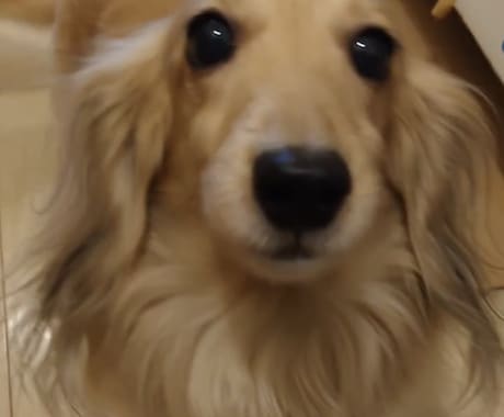 あなたに高次元からのメッセージを全てお伝えします 貴方が素敵に輝くために　お手伝いします。 イメージ1