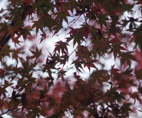 あなたのお話ききます 自分の気持ち吐き出してみませんか？ イメージ1
