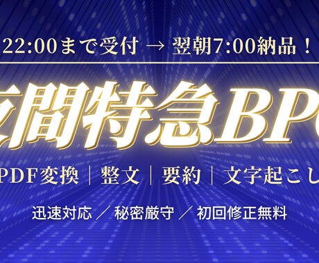 PDF変換・整文・文字起こし翌朝納品します PDF変換・文字起こしを翌朝納品 イメージ1
