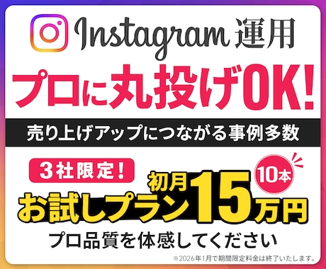 プロに丸投げ！Instagramを運用します Instagramで収益に繋げるためのサポートを行います イメージ1