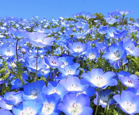 悩みとりあえず聞きます 人には言えないこと言って欲しいこと。第三者だから聞けます イメージ2