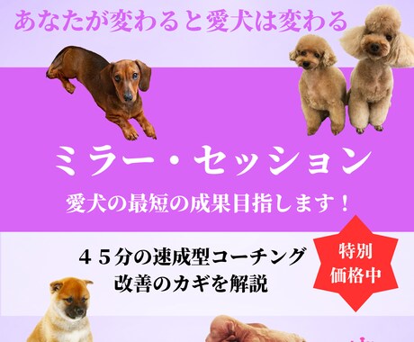 オリジナルメソッド『ミラー・セッション』提供します 〜どこが間違っているの？を一気解決。あと少しの工夫が成功へ〜 イメージ1
