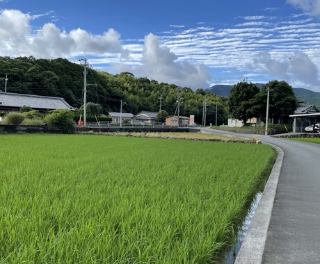 オープン価格140円→100円で電話鑑定します ５月いっぱい1分100円になります イメージ2