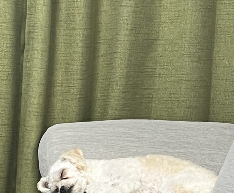 好きに話をしてください。聞き役屋さんします 聞きます。ただ、ただ聞きます。 イメージ1