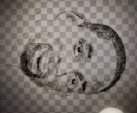 皆さんの写真などを点描画や似顔絵でお届けします あなたの写真を点描画に！点描画の、魅力を感じてみよう！ イメージ2
