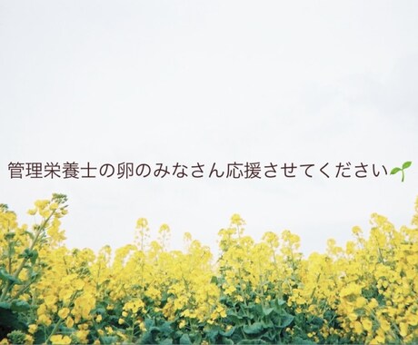 国試対策、就活等の相談のります 管理栄養士の卵のみなさん応援させてください☺︎ イメージ1