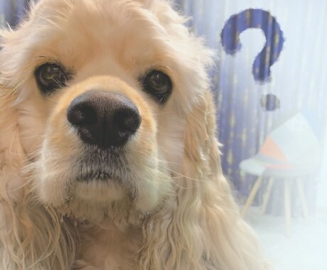 無理しない心のクリーニング賜ります 考え方の法則から導いた心のクリーニングのアドバイスを致します イメージ1