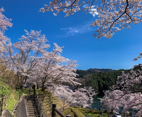 写真を綺麗に加工します 人の肌や思い出の一枚をより綺麗に仕上げ、不要物の除去なども。 イメージ2