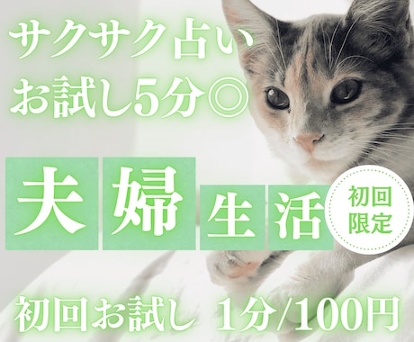 お試し♡5分でサクッと、夫婦生活占います 【4月末まで♡1分200円→100円初回限定】短時間OK♡ イメージ1