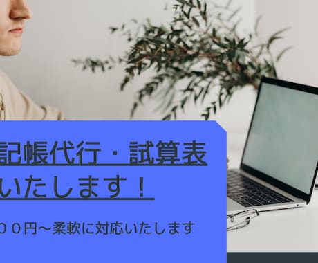 現場のプロが記帳代行・試算表を作成致します 会社経営20年の財務のプロがアドバイス付きで記帳代行致します イメージ1