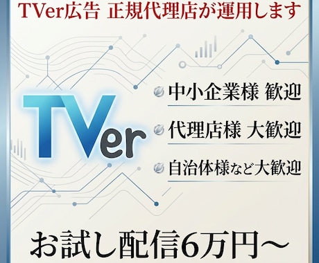 正規代理店が運用 TVer広告 お試しできます 6万円から配信可能 期間限定(2027/3迄)の大サービス イメージ1