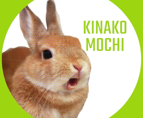 お写真からポップアート風アイコンを制作いたします イメージ1