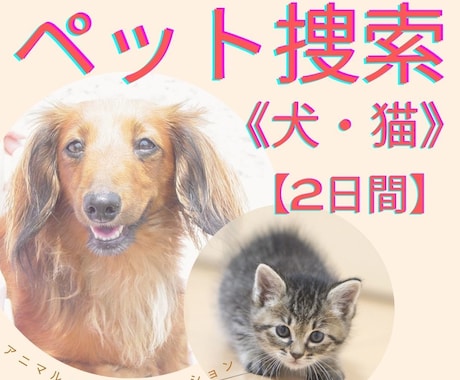 2日間捜索【犬、猫】霊視で行方不明ペットを探します 【霊視で捜索】不明ペット/猫捜索/犬捜索/ペット探偵に協力！