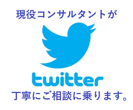 X(Twitterツイッター)運用の相談に乗ります 100件以上実績アリの現役ウェブマーケターが懇切丁寧に イメージ1