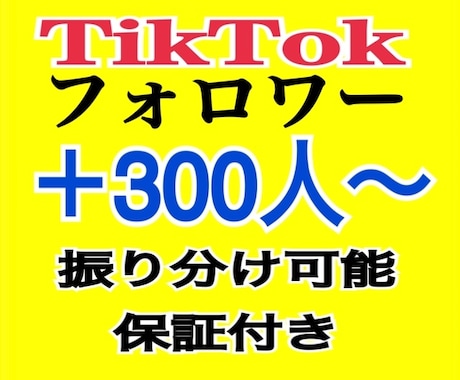 TikTokフォロワー300人以上増加させます ✅複数アカウント振り分け可能/イイね/日本人再生回数も！⭕️ イメージ1