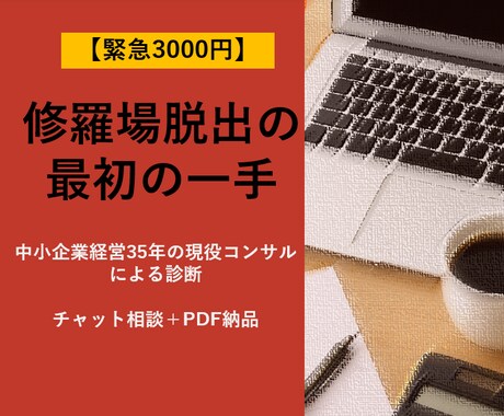 緊急3000円｜修羅場脱出の最初の一手を診断します クイック対応！経営の行き詰まりを即座に整理 イメージ1