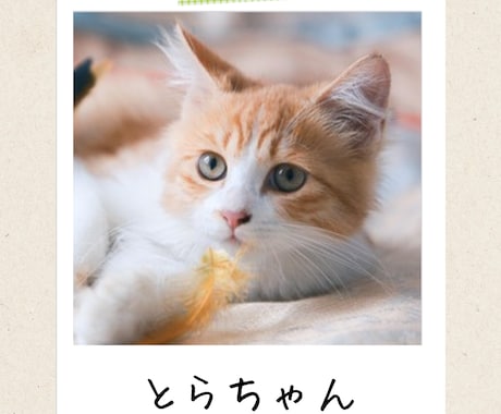 猫instagramの投稿や広告画像制作します ねこに特化！イメージに寄り添い丁寧にデザイン制作いたします！ イメージ2