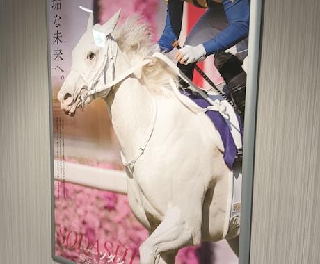 手堅く稼ぐ！中央競馬の予想を提供致します 堅実に的中率重視で最大2000円で競馬を楽しむ イメージ1