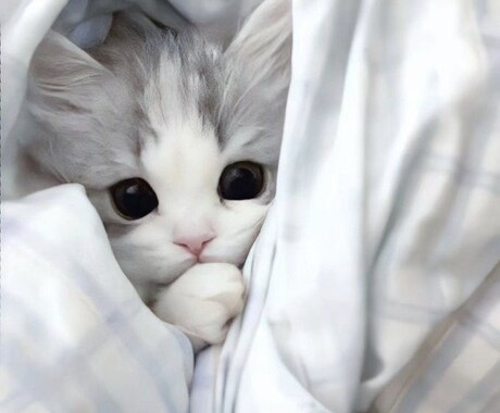 一日まったりお話しします 朝から夜まで、なんとなくまったりお話ししましょう♩ イメージ1