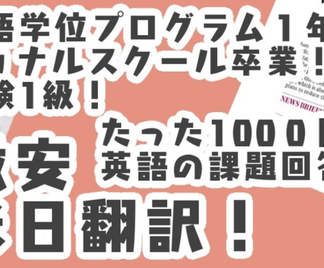 激安日米翻訳行います 早稲田大学英語学位プログラム生が英語のお悩み解決します！ イメージ1