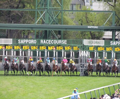 馬の獣医師が競走馬の馬体(能力)診断をします 競走馬の購入に迷われる方に、専門の獣医師がアドバイスをします イメージ1