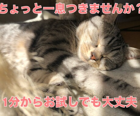 ゆっくりお話聞きます 少しだけ休みませんか？頑張って話さなくても大丈夫！ イメージ1