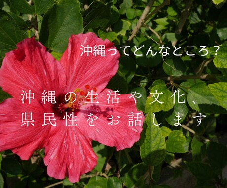 沖縄の生活、県民性、文化等についてレクチャーします 沖縄へビジネス、移住をしたい方♪マーケティングにも◎ イメージ1