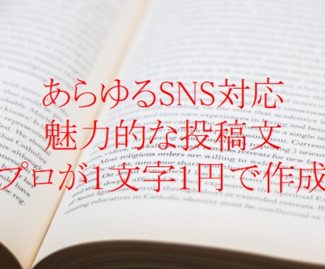 プロが各SNSに対応した投稿文を作成します あらゆるSNS対応、SNSごとに最適な投稿文をプロが作成 イメージ1