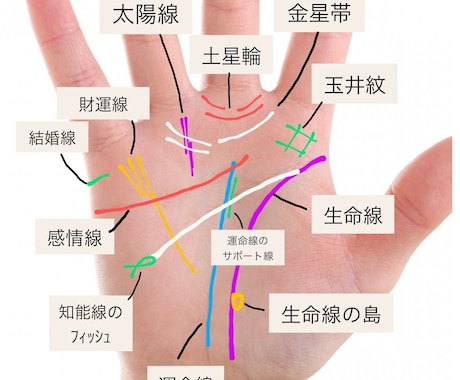 手相を勉強していて、分からない事の相談にのります 手相に関する事はどんな質問もOK！ イメージ2