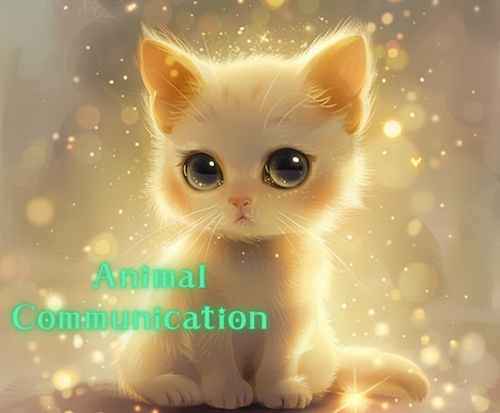 ペットロス/愛しい猫さんの想いを伝えます 亡くなった猫さんの愛のメッセージを受け取ってください イメージ1