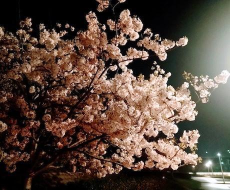 波動リーディング◆お悩みの根源を探ります 意識の拡大/本来の自分へ/自己実現/覚醒/個の力 イメージ1