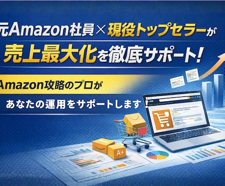 Amazon売上最大化コンサルティング致します Amazon売上加速ベーシックプラン イメージ1