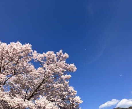 第六感とカラーセラピーを使用してお答えします 悩み事や聞いてほしい事があり第三者の視点を聞きたい方！ イメージ2