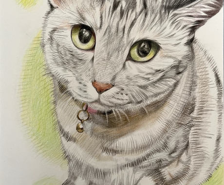ペットの似顔絵お描きします 写真をもとに、色鉛筆の温もりあるタッチでお描きします イメージ2