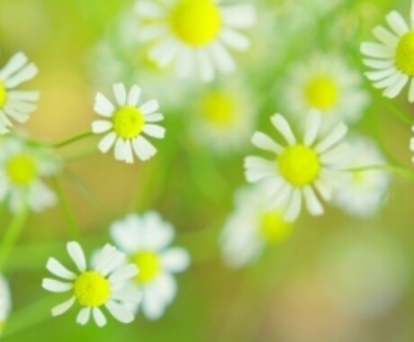 現役ママが様々なお悩み愚痴何でもお話お聞きします ＊身近な人には話せない！そんな時こそお話聞かせて下さいね✳︎ イメージ2