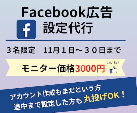 FaceBook広告設定します 【11月限定3名】3000円でFaceBook広告の設定代行 イメージ1