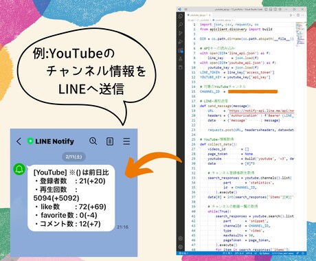 APIを利用したデータ取得／作業ツールを作成します YouTube、SNS、ECサイト(Yahoo!／楽天)など イメージ2