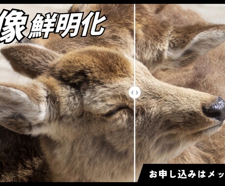 AIで写真プロのクオリティに鮮明化します 「その写真、諦めないで。AIが最高の1枚に変えます。 イメージ1