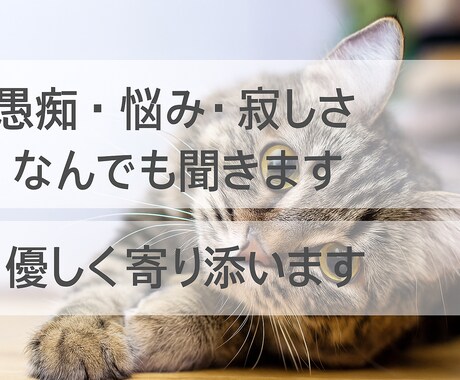 愚痴・悩み・寂しさ なんでも聞きます 辛い時や寂しい時に心が少し軽くなる、優しい時間を届けます イメージ1